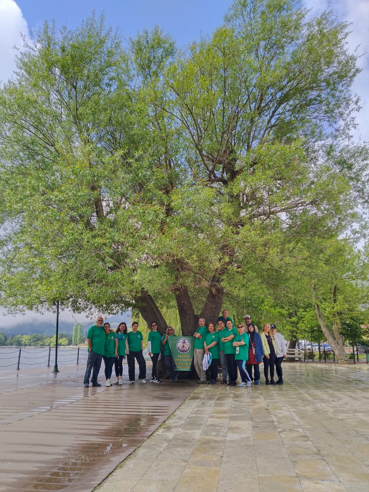 88F13864 9E17 464F 9996 062652Aa6248