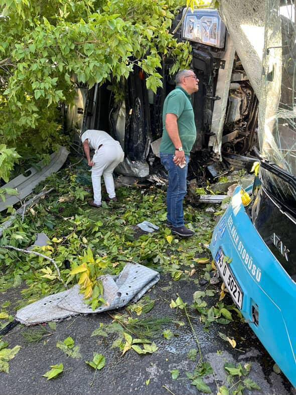 A7Cdc434 83Df 4E8A A651 945566Ded981