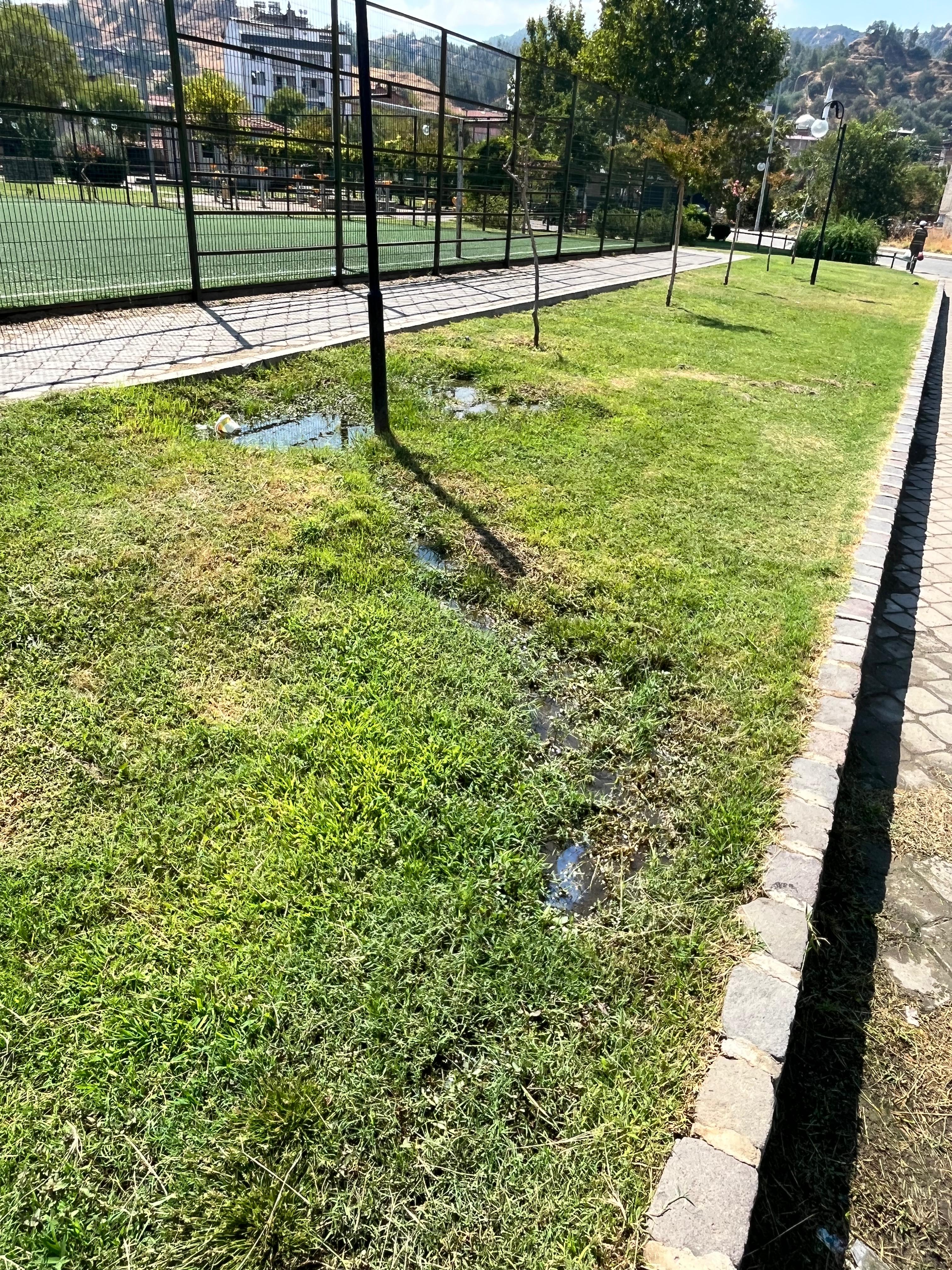 Bf86A0Cb 2451 47C8 9C09 206D9E992896