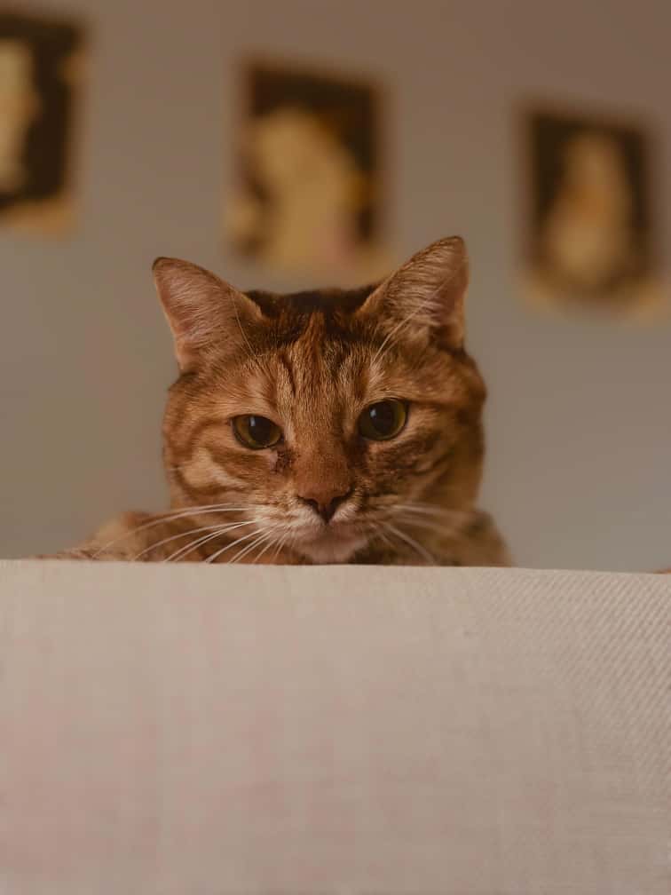 Bir Tirnagimiz Kadar Sevgi Bir Tas Kadar Aci (2)