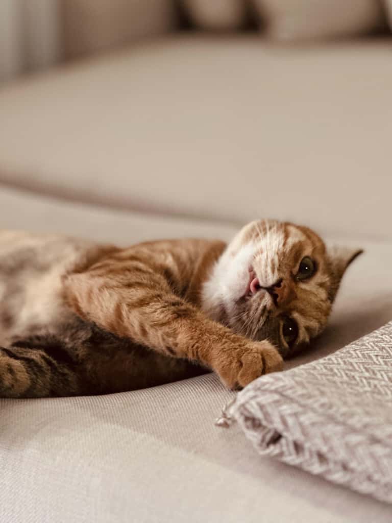 Bir Tirnagimiz Kadar Sevgi Bir Tas Kadar Aci (3)