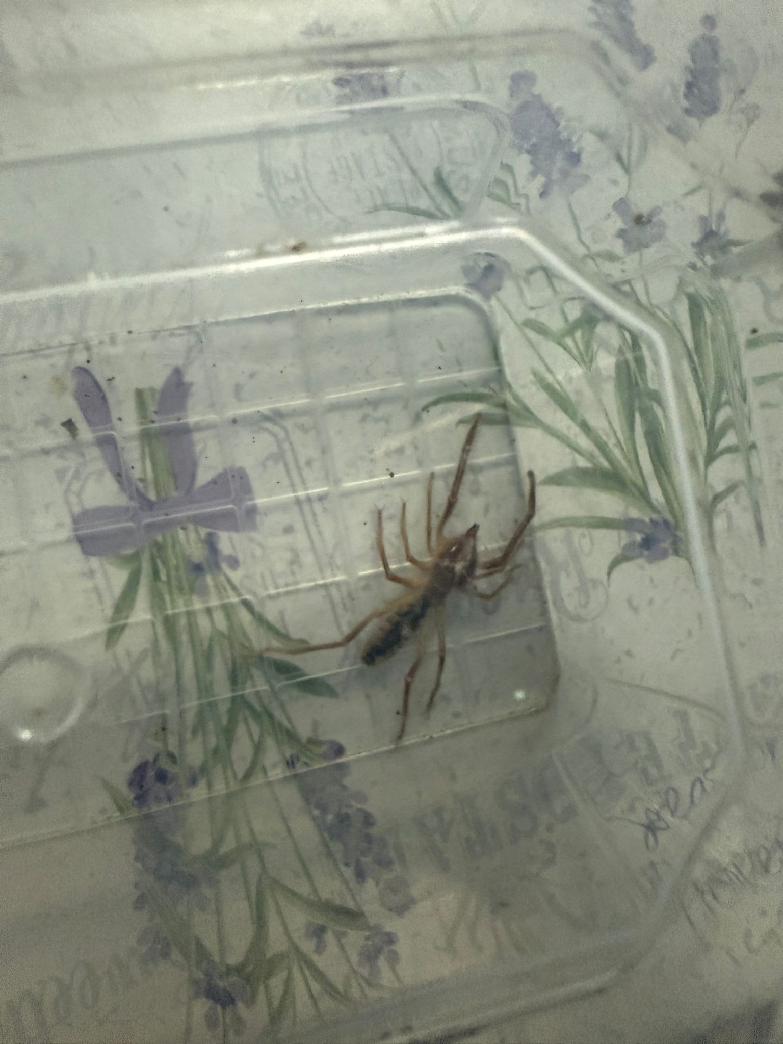 C61F582D A25D 4F45 9F32 41A256Fa2B4A