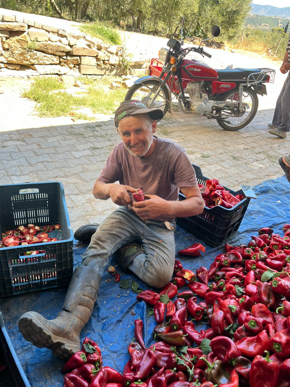 Cd60D013 Febc 43C6 A472 D13328Bb0Ac1