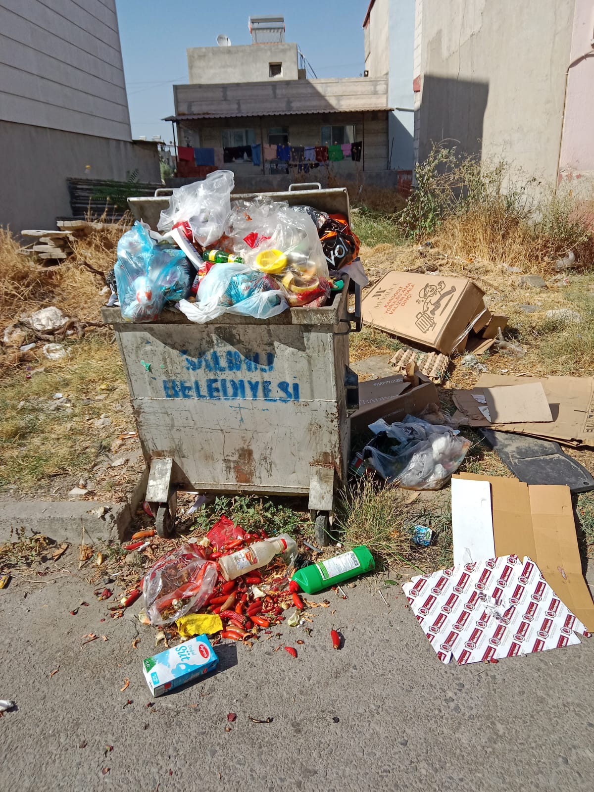 Çöp (1)-10