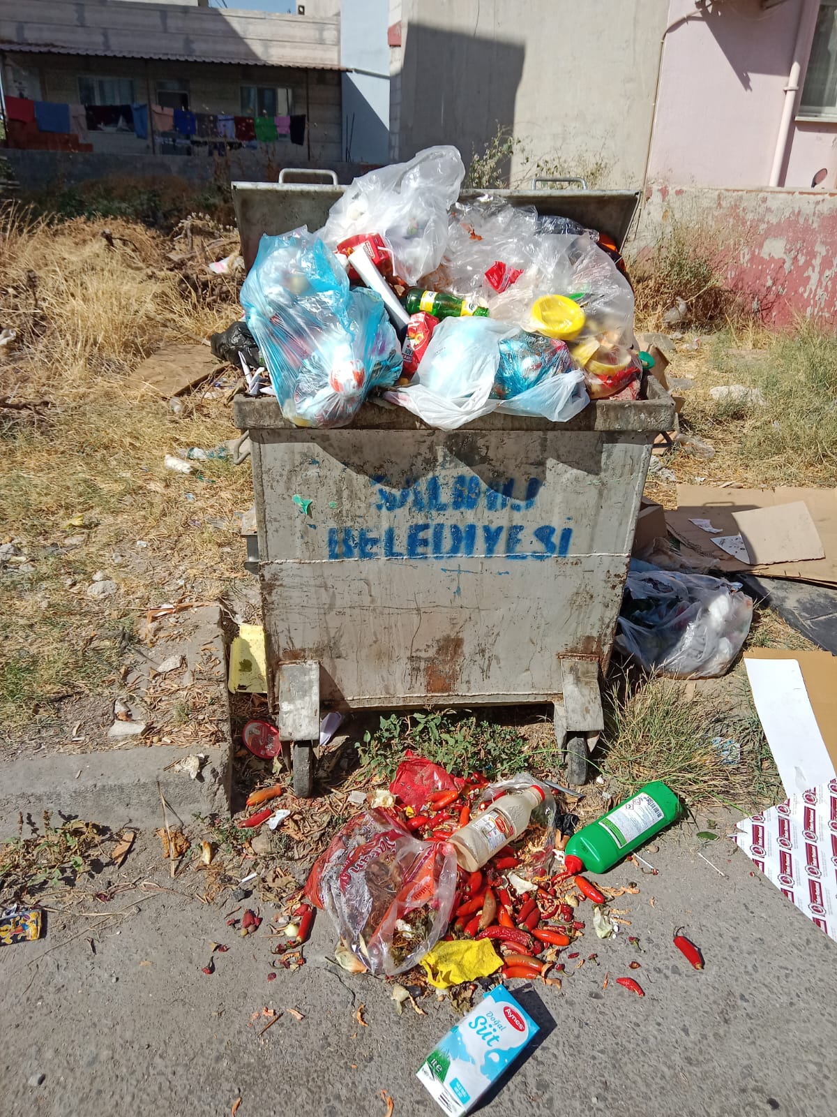 Çöp (2)-9