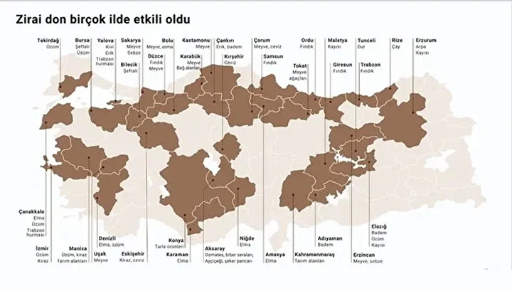 D05A5575 Zirai Don Destegi Verilecek Iller