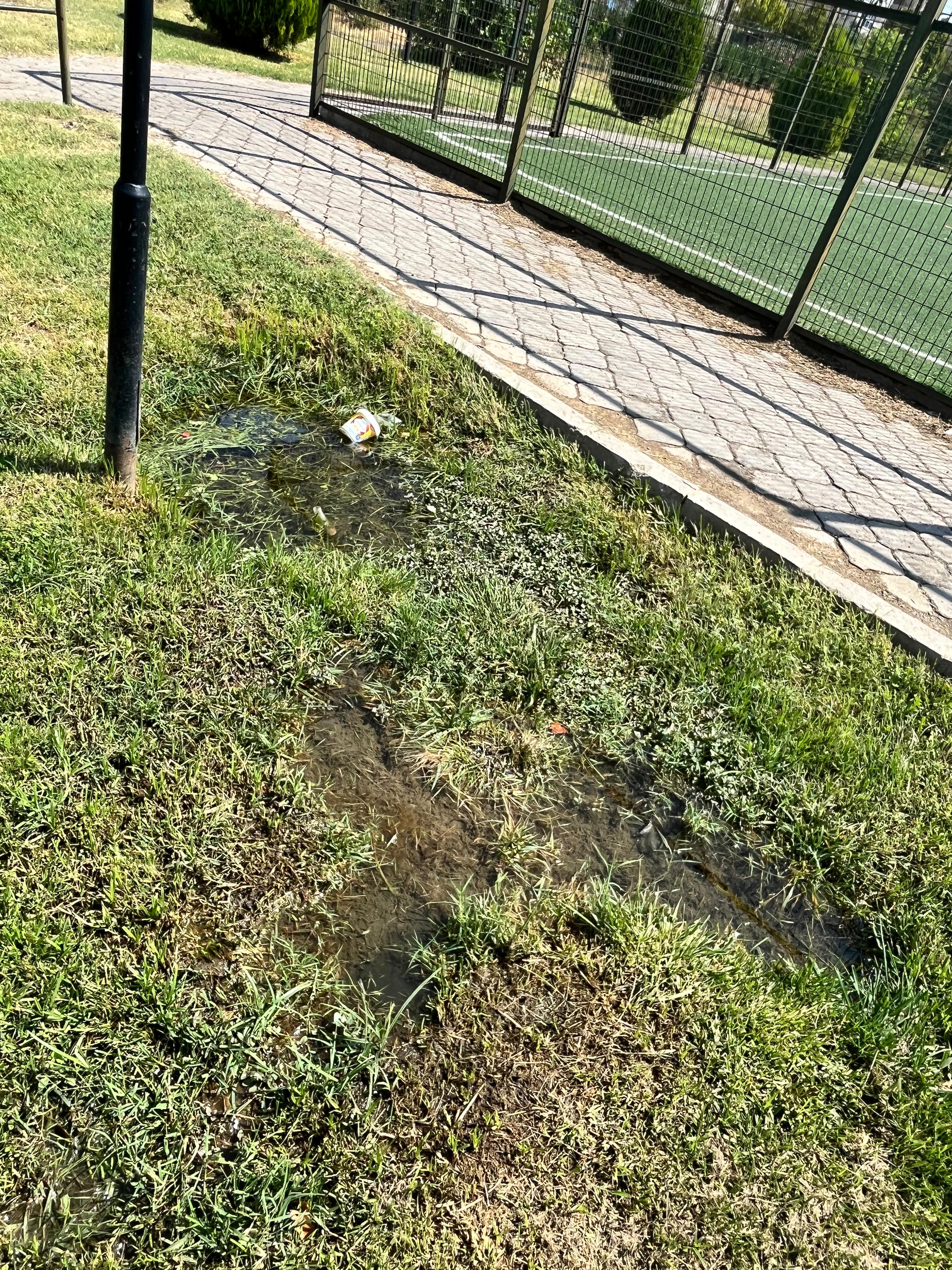 D5C25F87 Bb26 494E A3F8 969E55571368