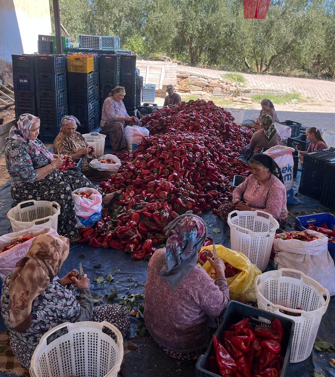 E609A721 Cb54 40Be 90C0 009726Df3370