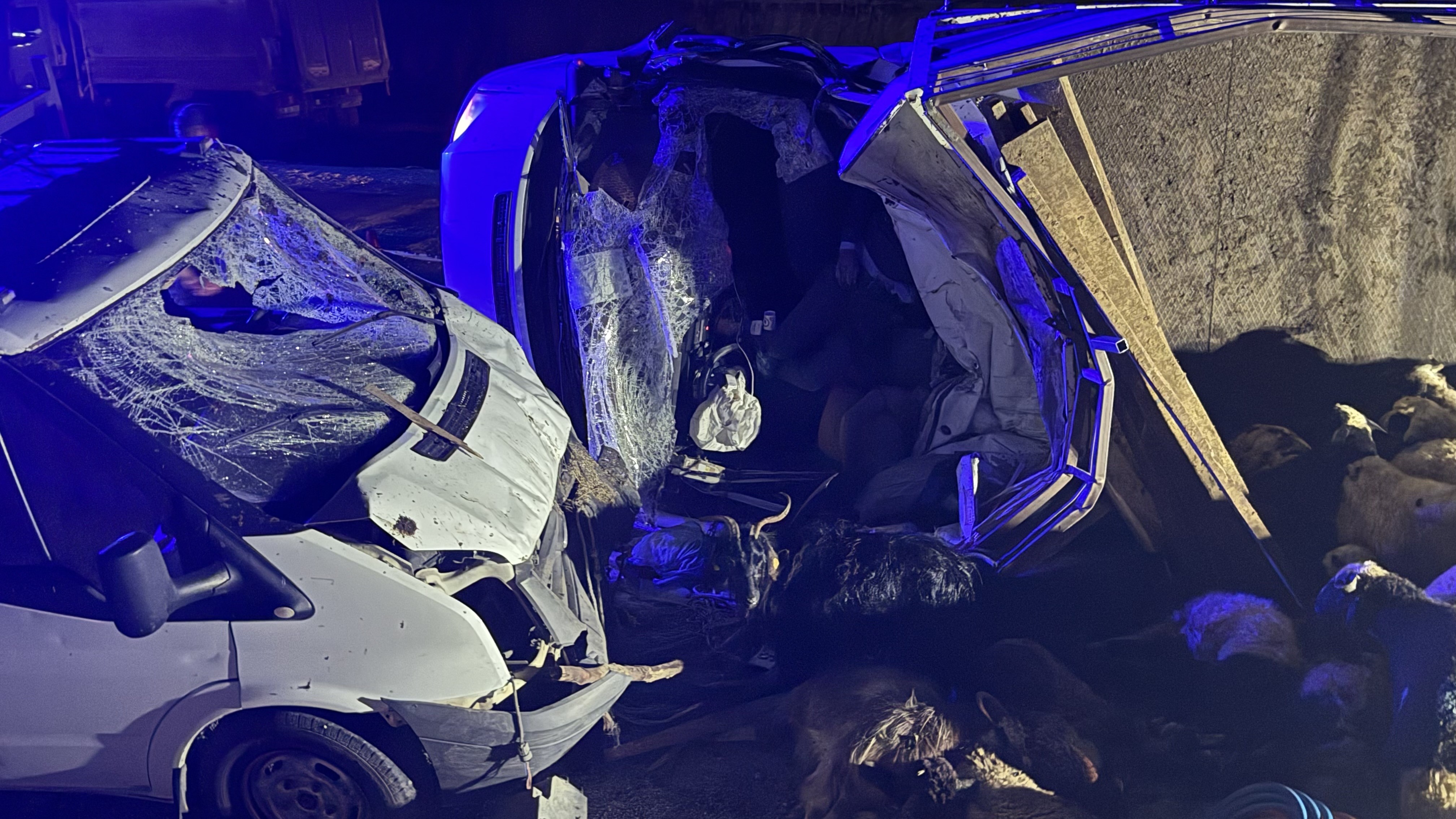 Gece Yarısı Korkunç Kaza Hayvan Yüklü Kamyonet Can Aldı (2)