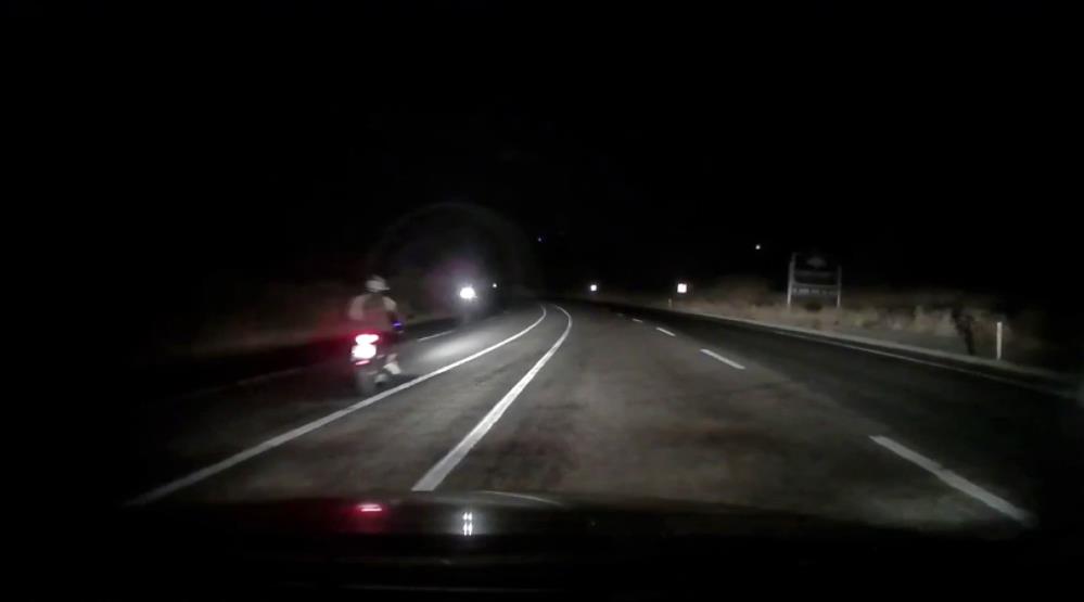 Karayoluna Cikan Domuz Surusu Trafigi Tehlikeye Dusurdu (3)