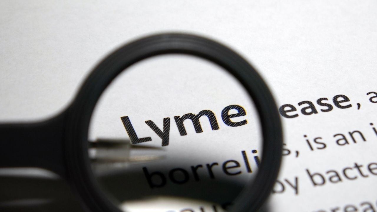 Lyme Hastaligi Belirtileri Nelerdir
