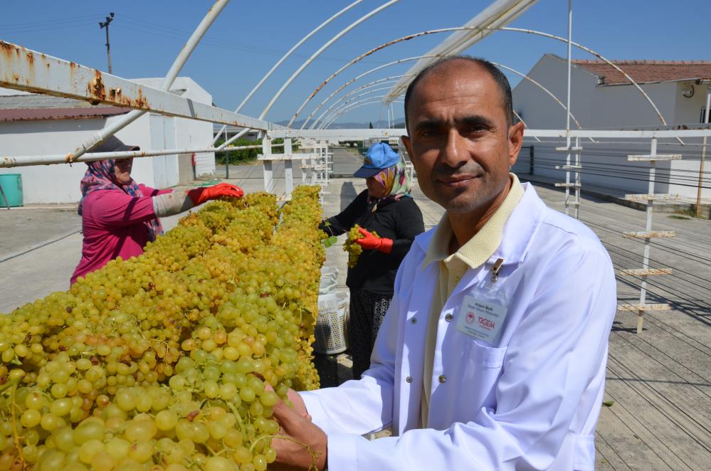 Manisa Üzüm Tel Sergi (4)