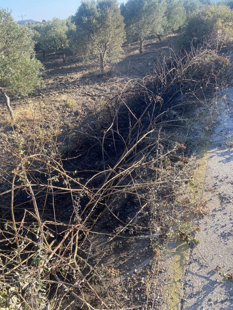 Manisada Seyir Halindeki Motosiklet Alev Aldi (3)