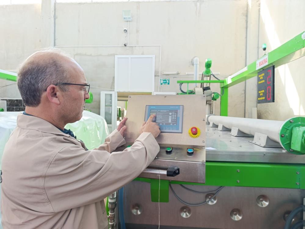 Manisada Zeytin Hasadi Ile Birlikte Sikimlarda Basladi (1)-1