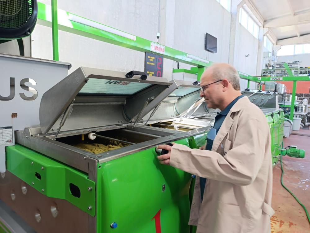 Manisada Zeytin Hasadi Ile Birlikte Sikimlarda Basladi (5)