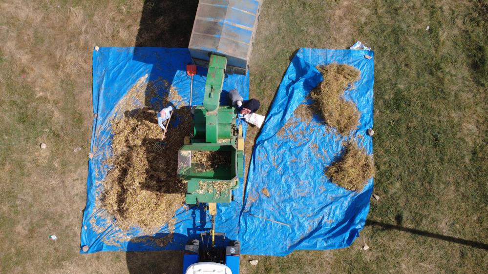 Manisadan Ureticiden Tuketiciye Dogal Lezzetli Fasulyede Hasat Zamani (3)