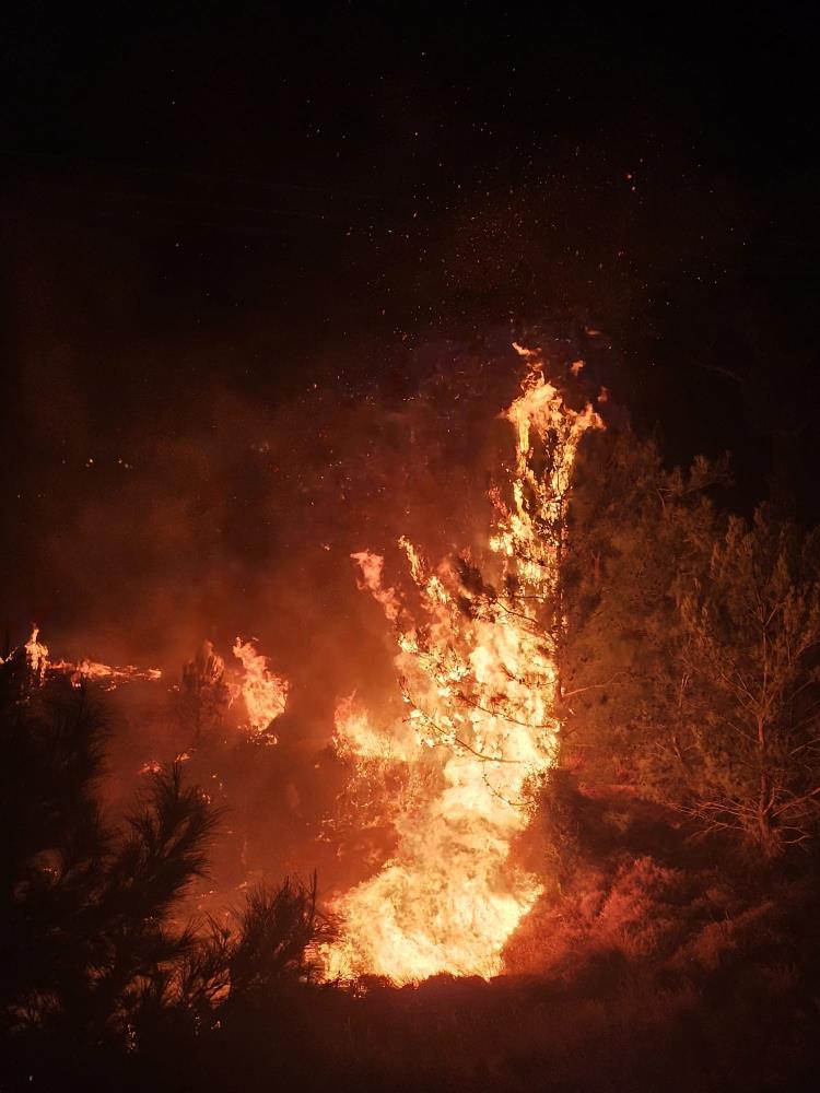 Mersinde Dugun Eglencesi Sirasinda Yangin Panigi (2)