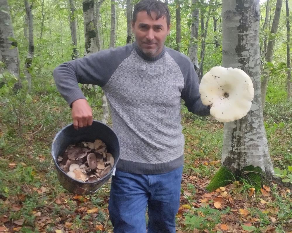 Orman Yuruyusu Sirasinda 3 Kiloluk Dev Mantarlar Buldu (3)