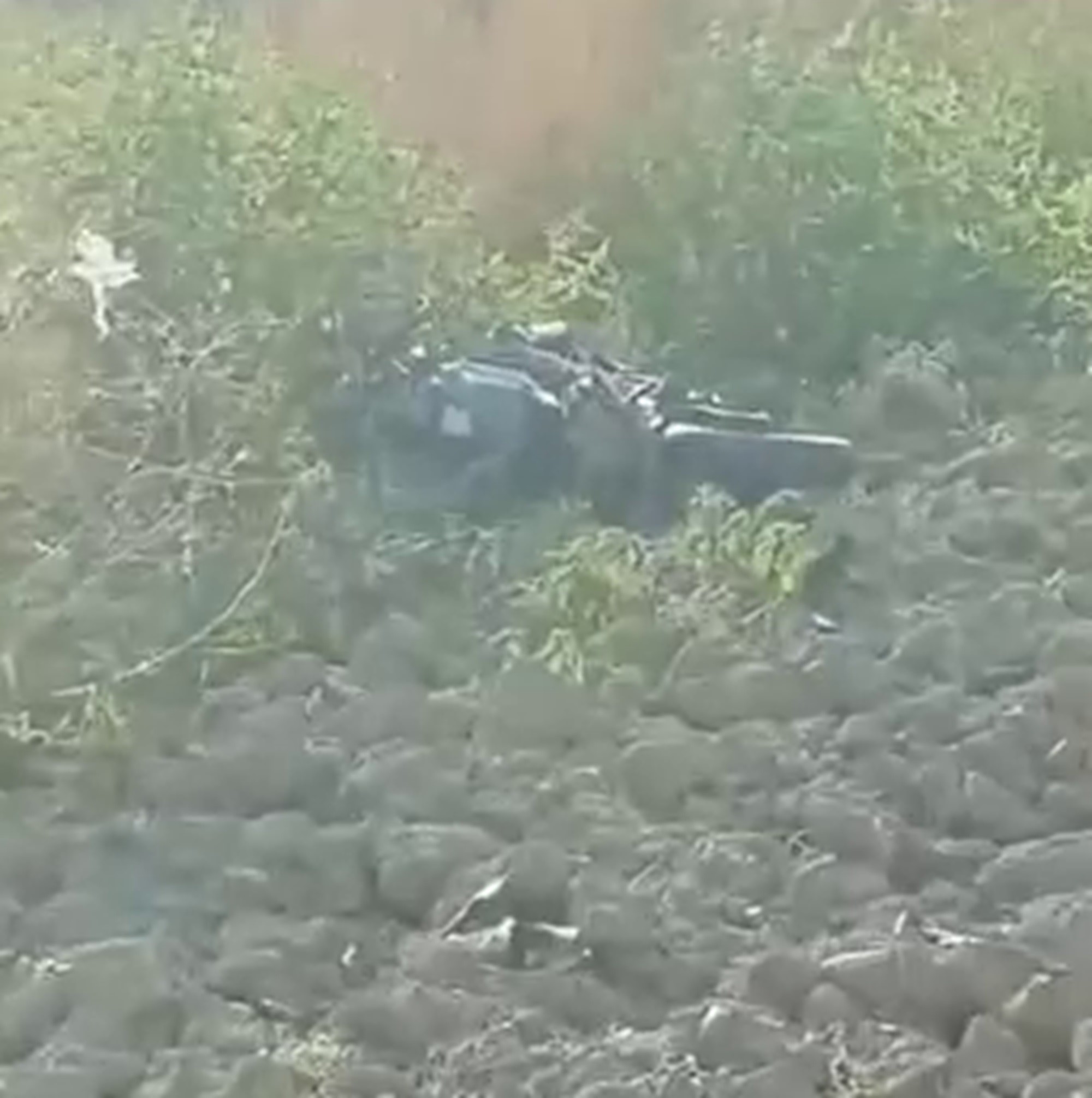 Otomobille Çarpışan Motosiklet Tarlaya Uçtu Genç Sürücü Kurtarılamadı (2)