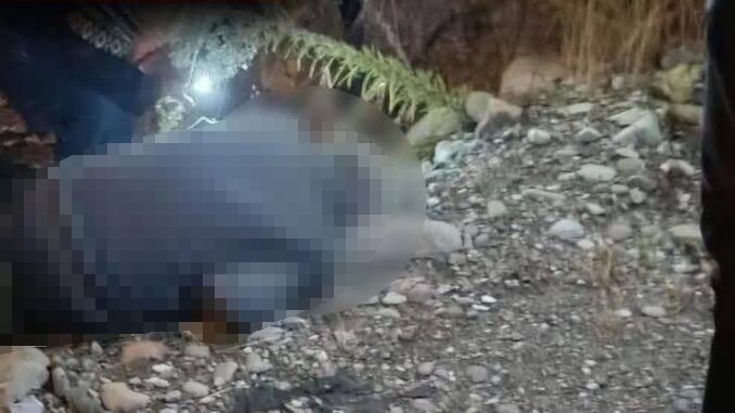 Panayır Alanında Korkunç Manzara! Bir Kişi Ölü Bulundu (2)