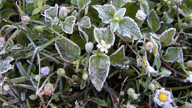 Resized 2F046 Be8Ddon