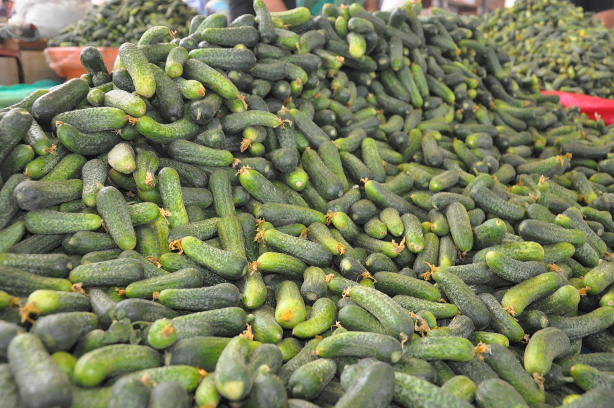 Sali̇hli̇ Çarşamba Pazar (8)