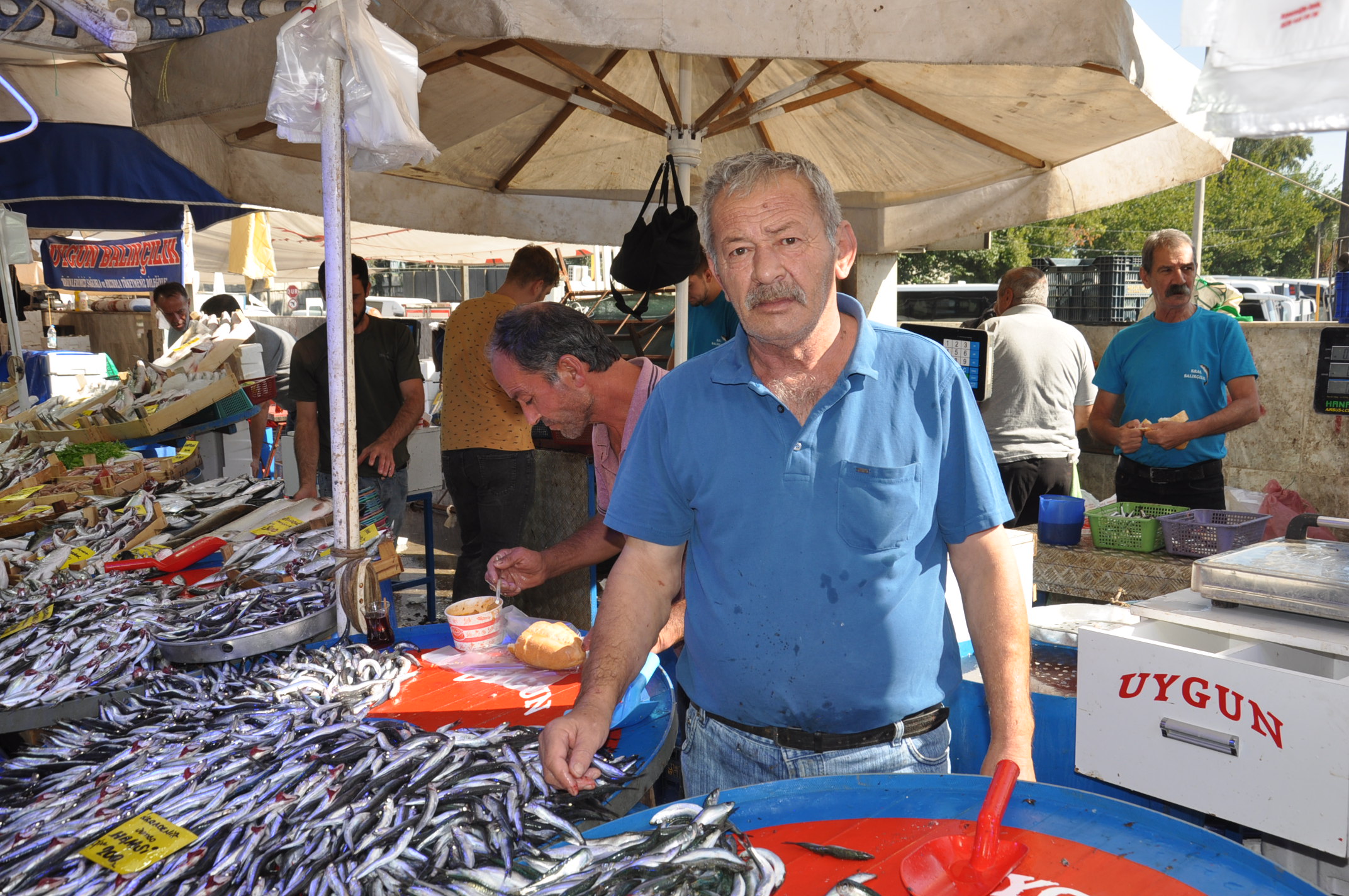 Salihli Çarşamba Pazarı Balık (1)