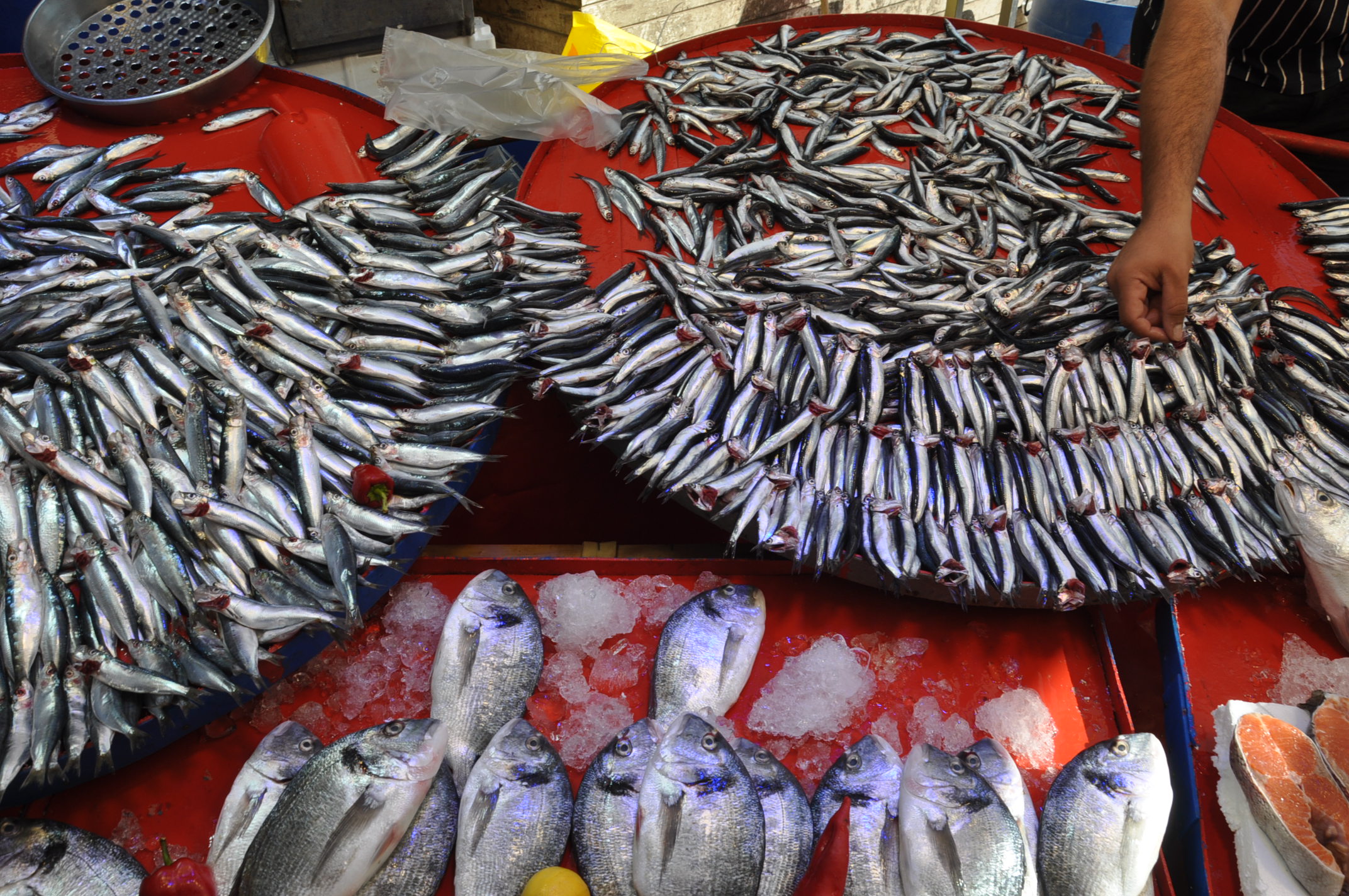 Salihli Çarşamba Pazarı Balık (11)