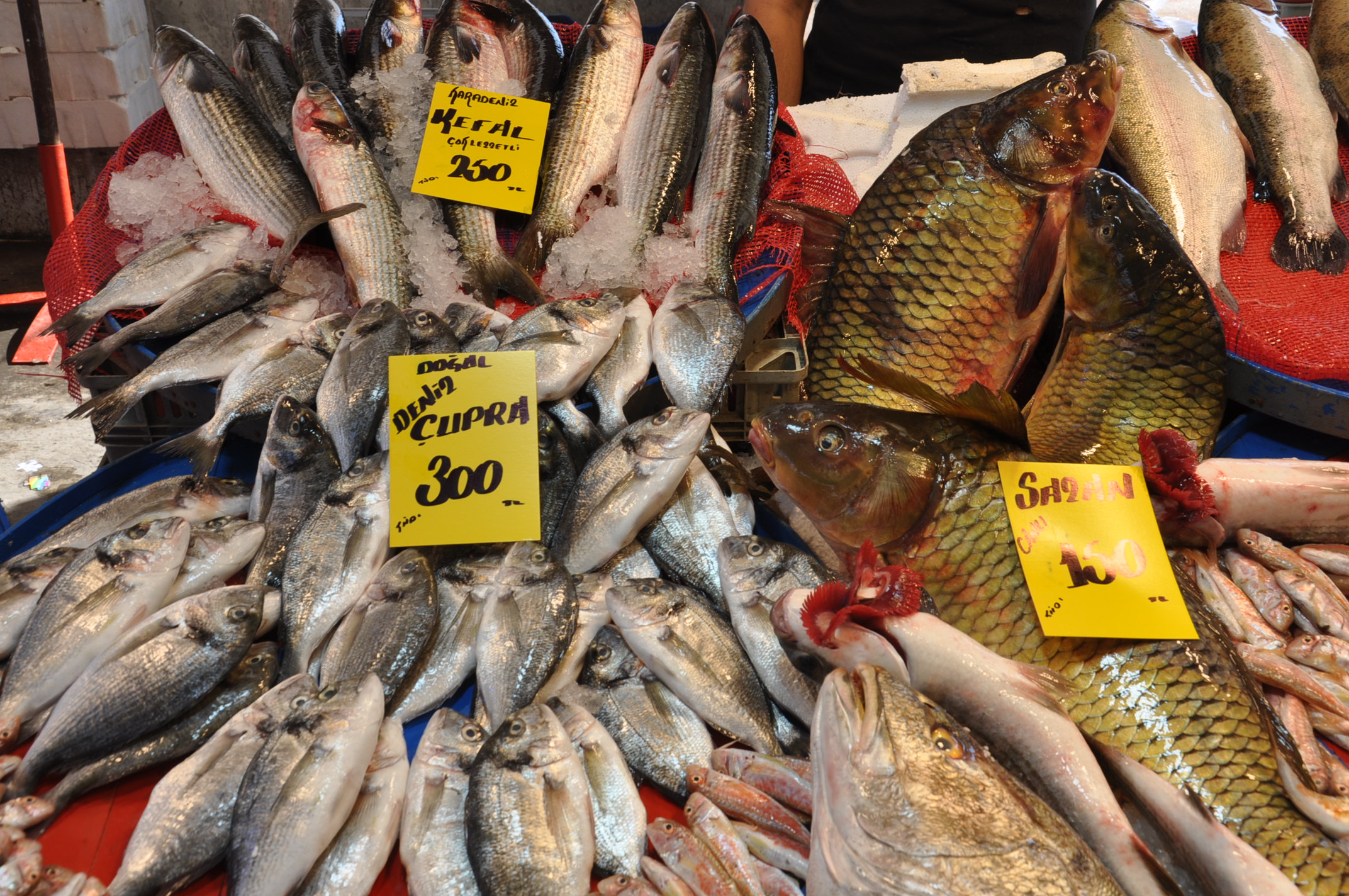 Salihli Çarşamba Pazarı Balık (15)