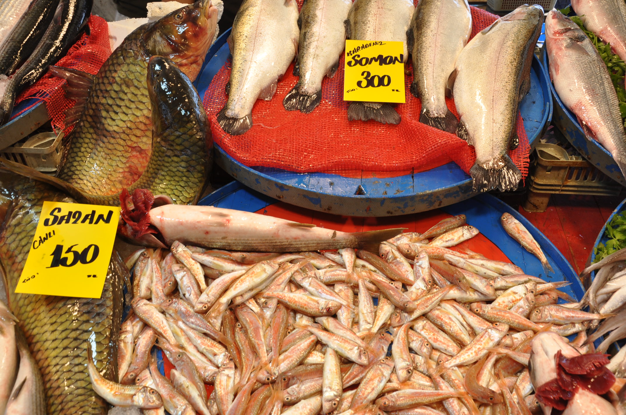 Salihli Çarşamba Pazarı Balık (16)