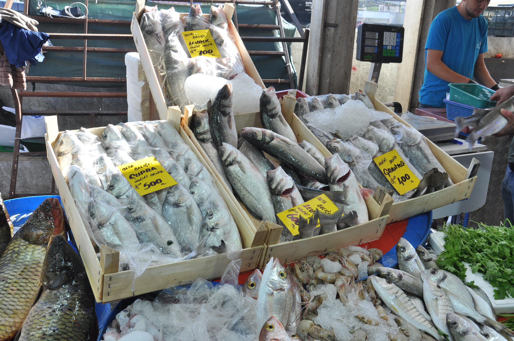 Salihli Çarşamba Pazarı Balık (18)