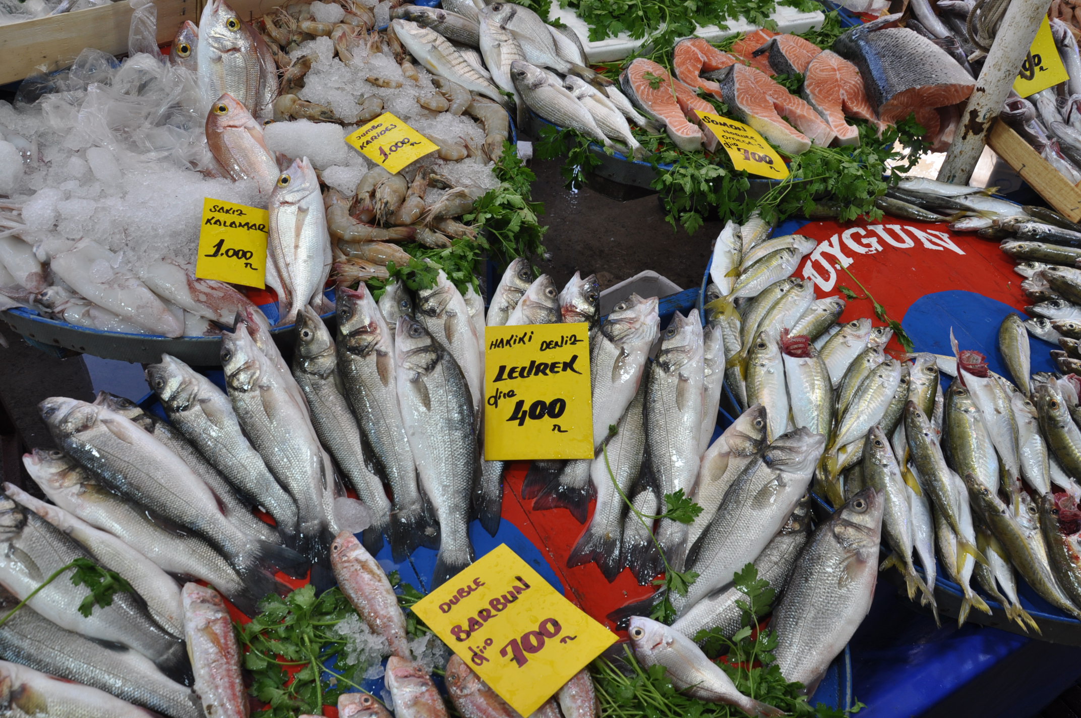 Salihli Çarşamba Pazarı Balık (19)