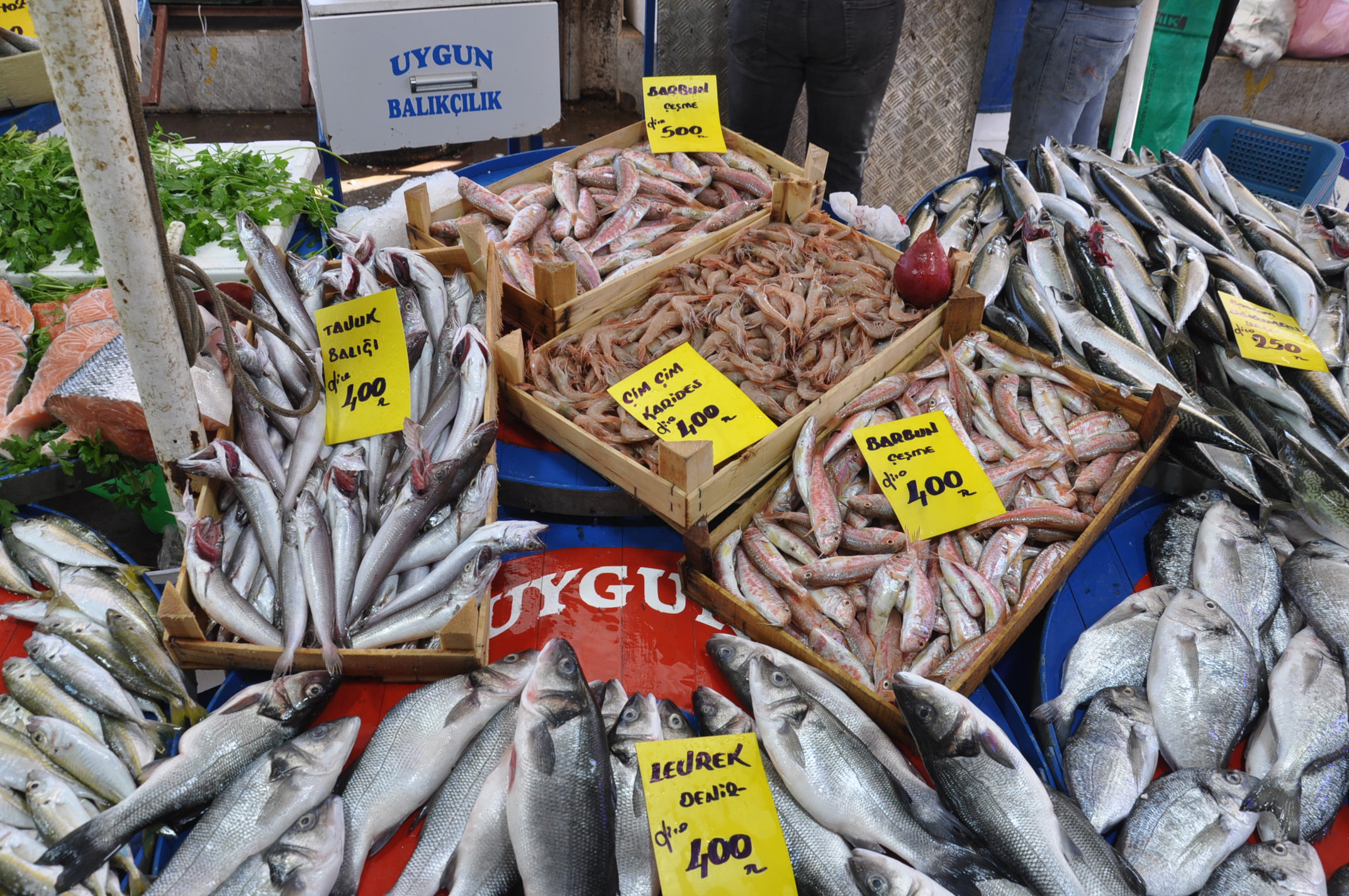 Salihli Çarşamba Pazarı Balık (20)