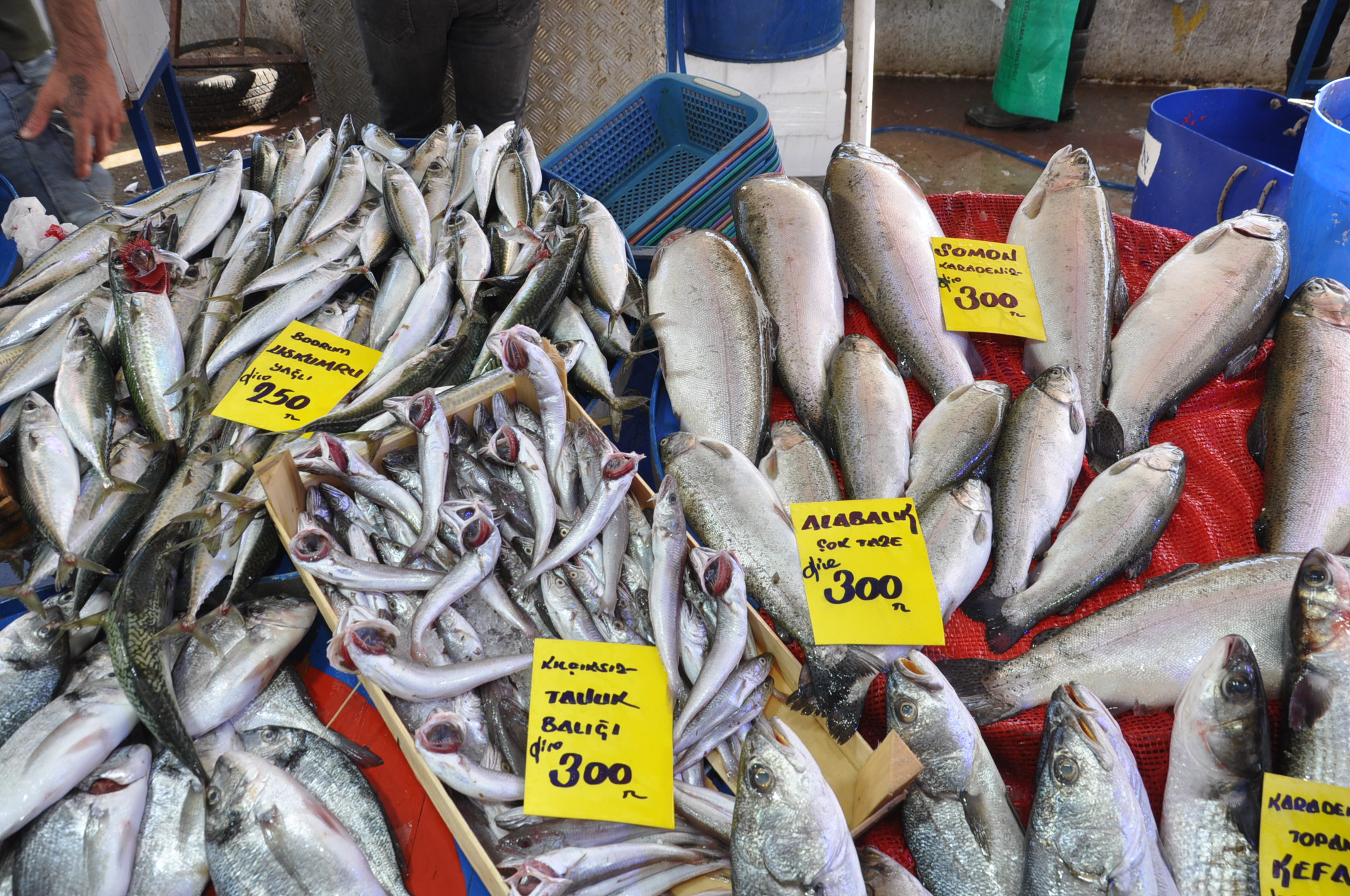 Salihli Çarşamba Pazarı Balık (21)