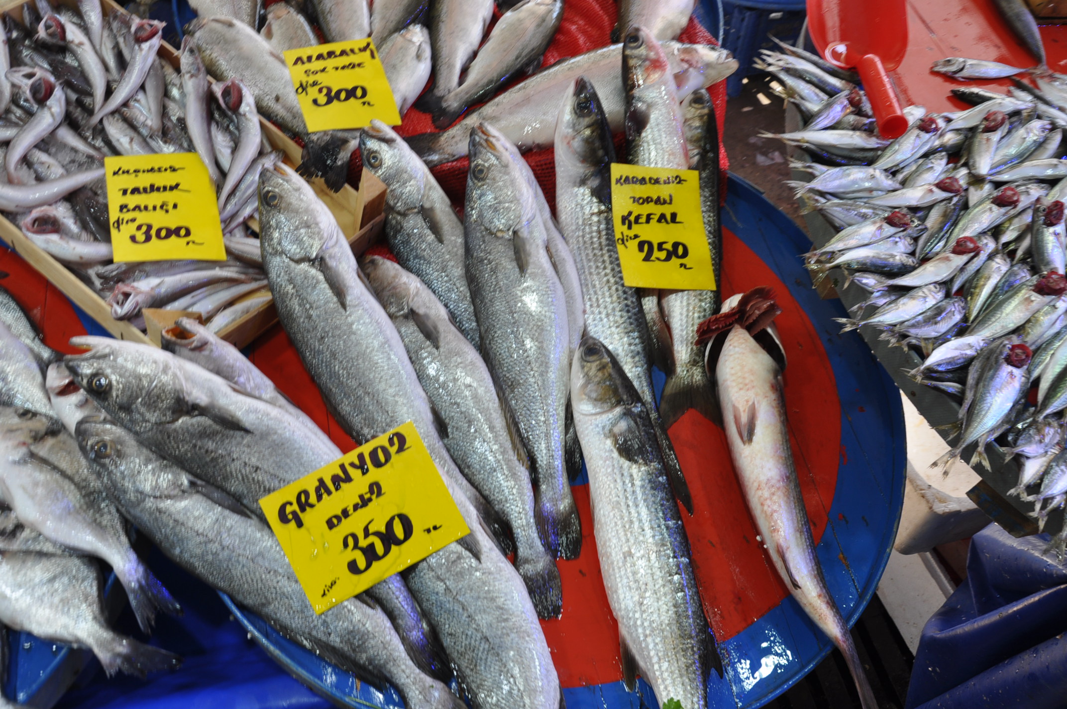 Salihli Çarşamba Pazarı Balık (22)