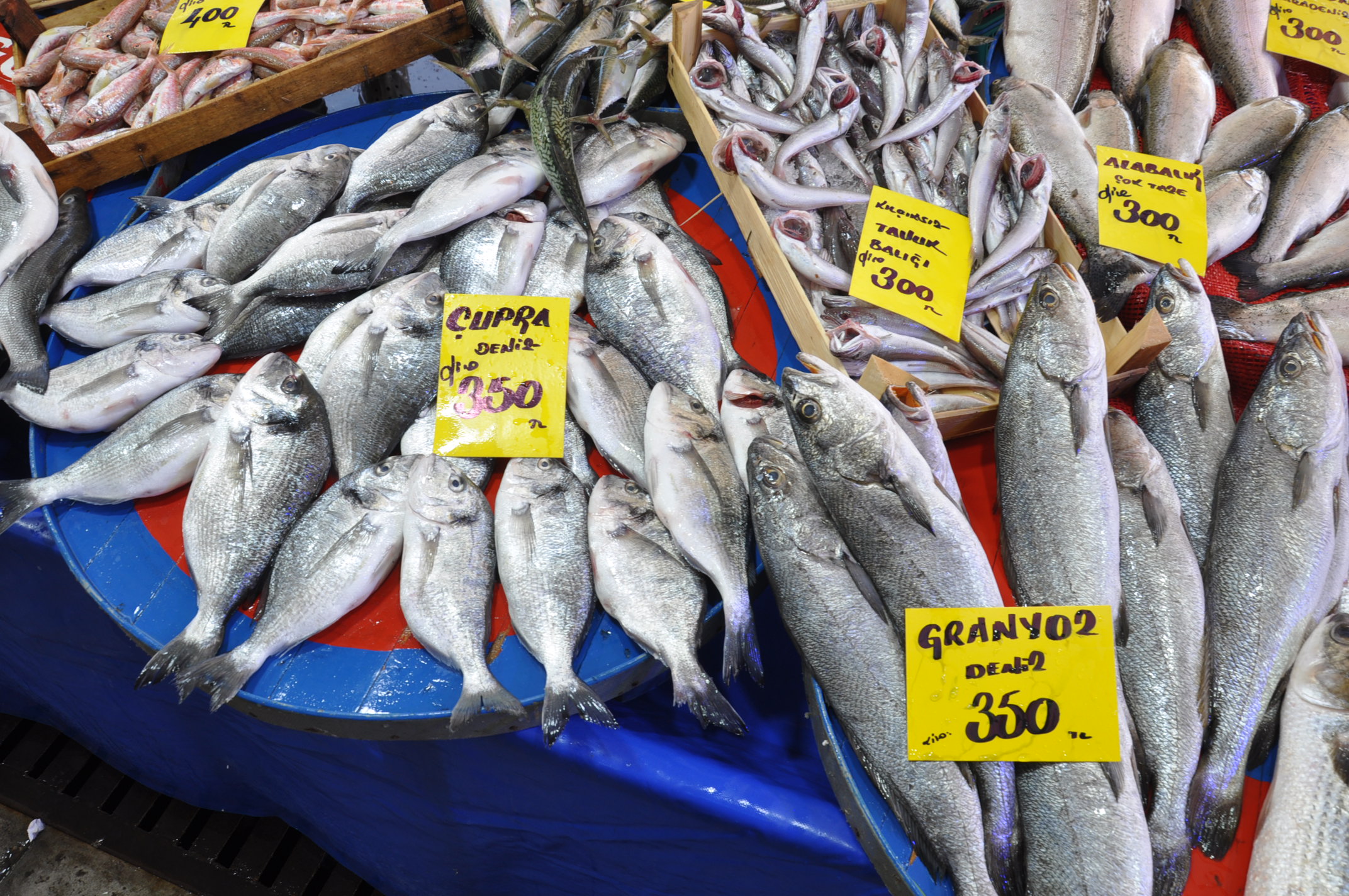 Salihli Çarşamba Pazarı Balık (23)