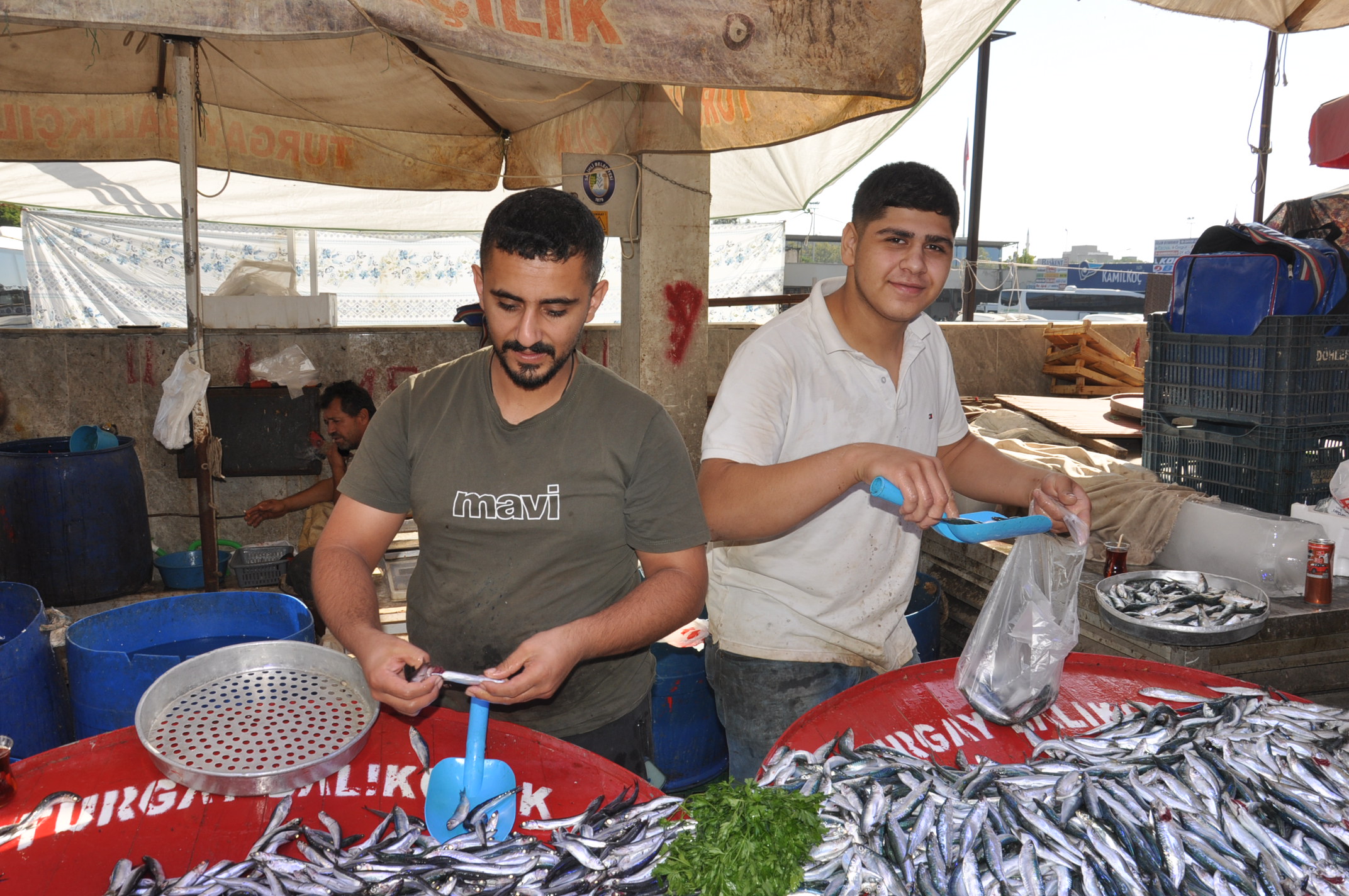 Salihli Çarşamba Pazarı Balık (4)