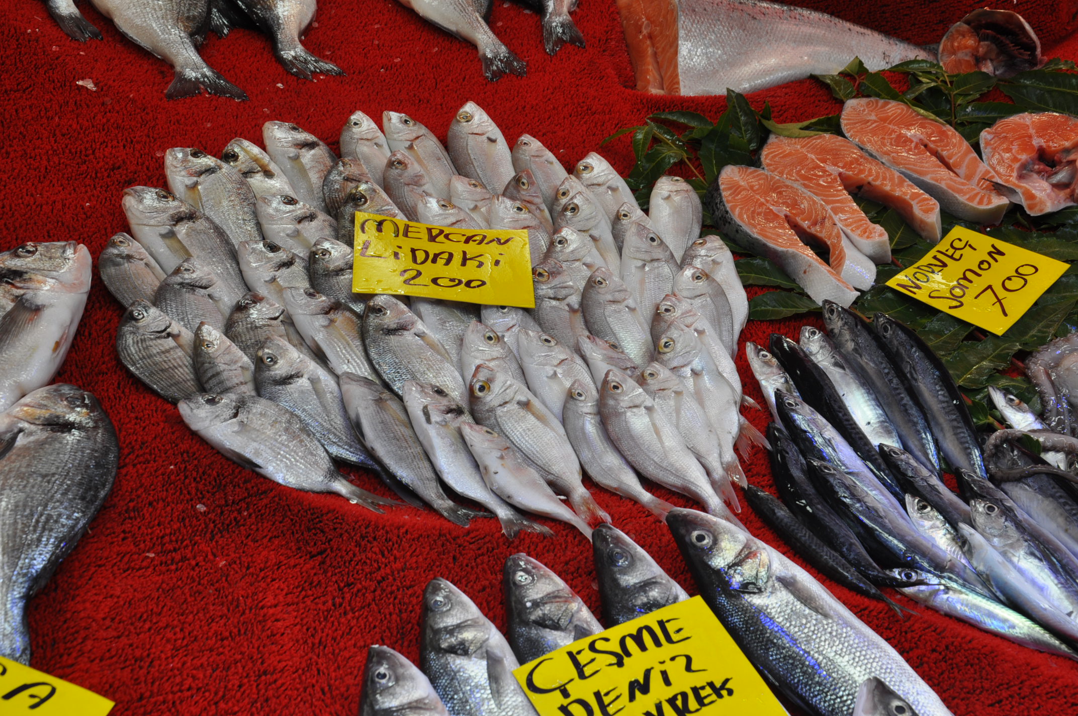 Salihli Çarşamba Pazarı Balık (8)