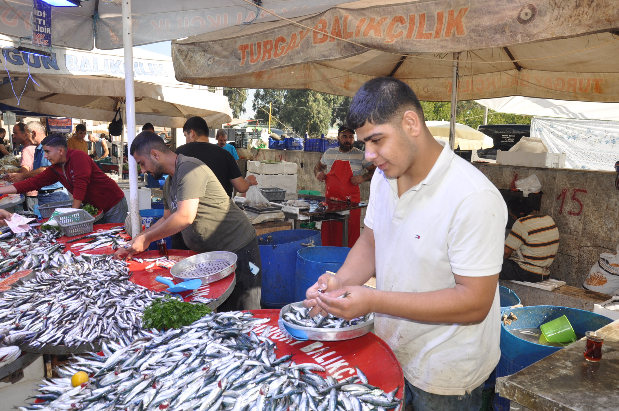 Salihli Çarşamba Pazarı Balık (9)