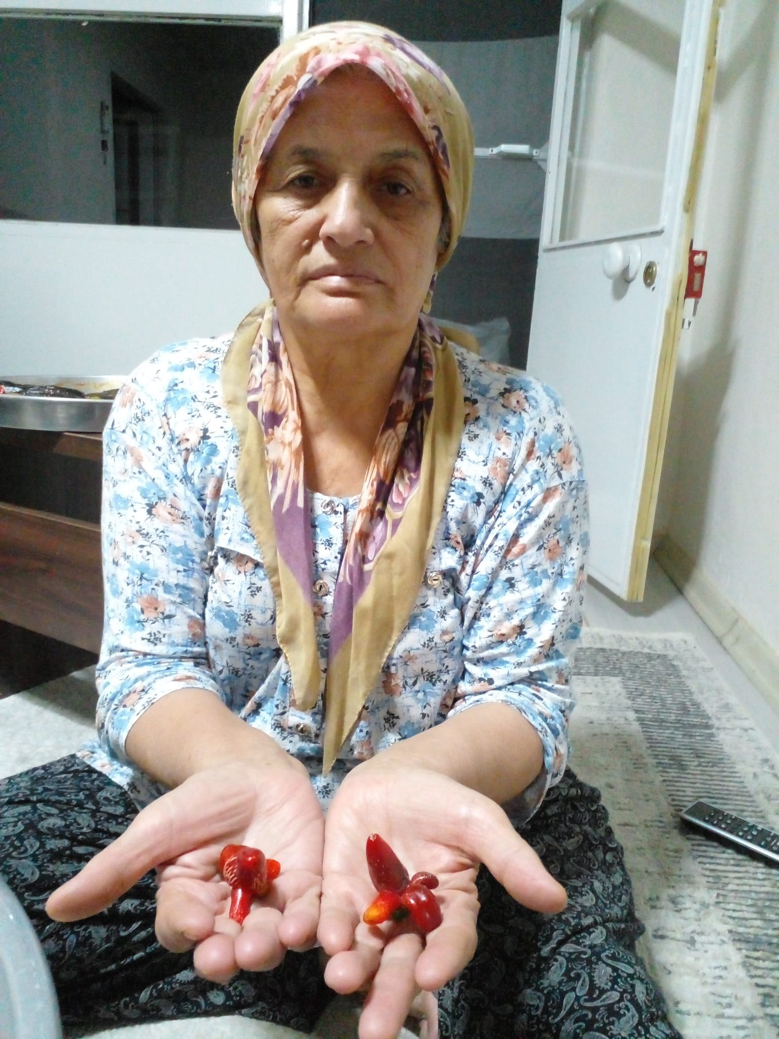 Salihlide Bahceden Cikan Ilginc Biberler Sasirtti (1)