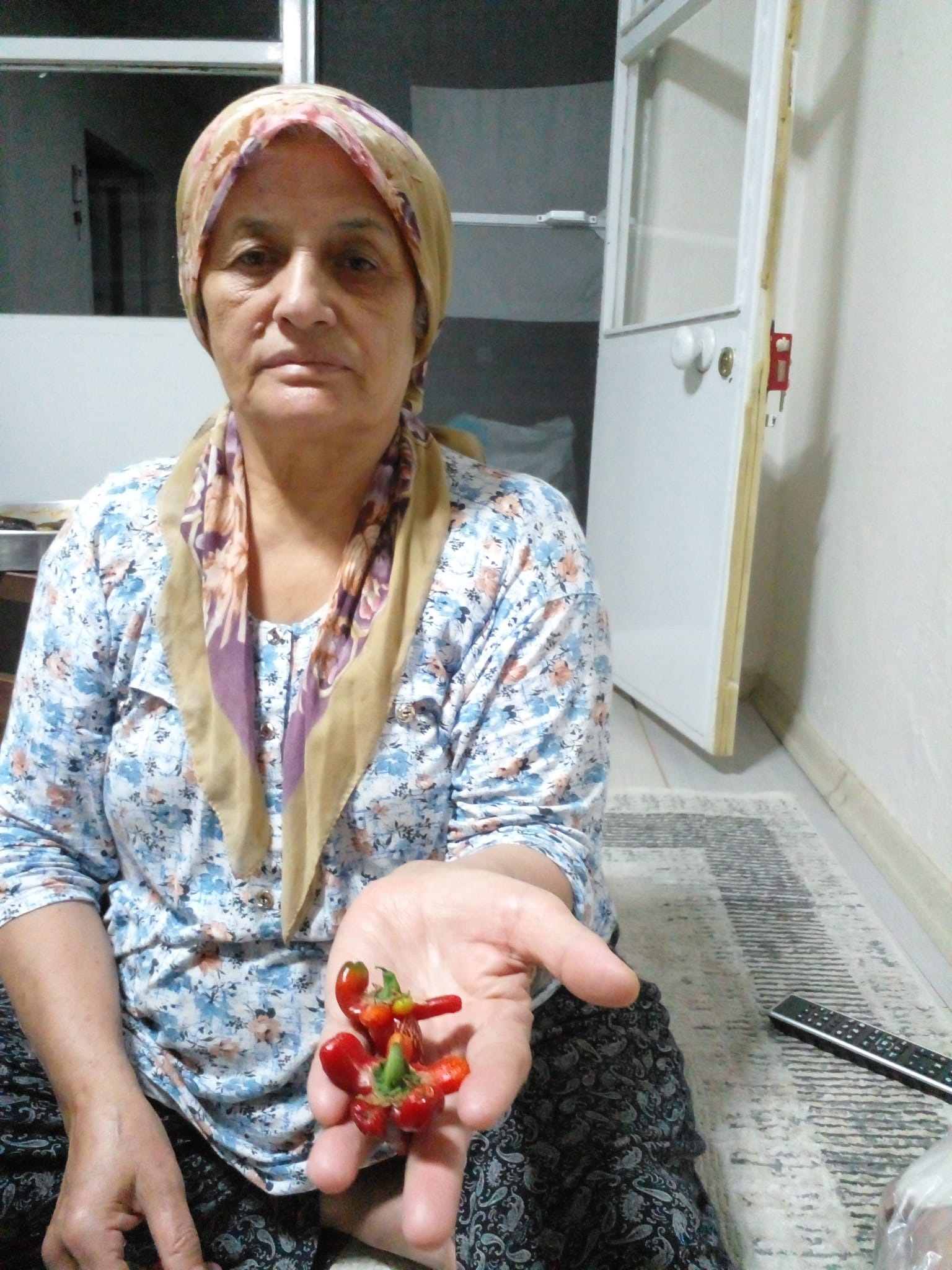 Salihlide Bahceden Cikan Ilginc Biberler Sasirtti (2)