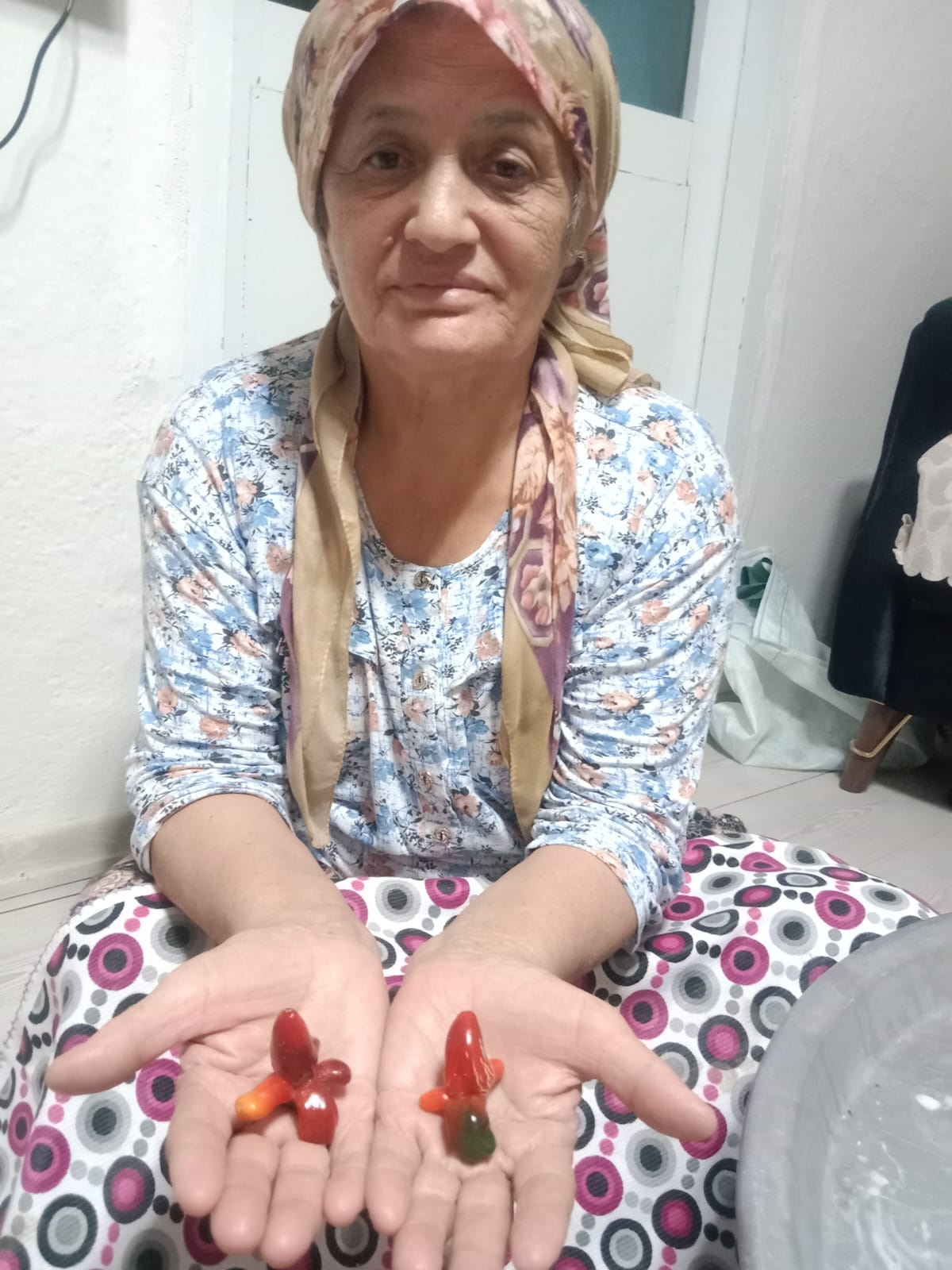 Salihlide Bahceden Cikan Ilginc Biberler Sasirtti (3)