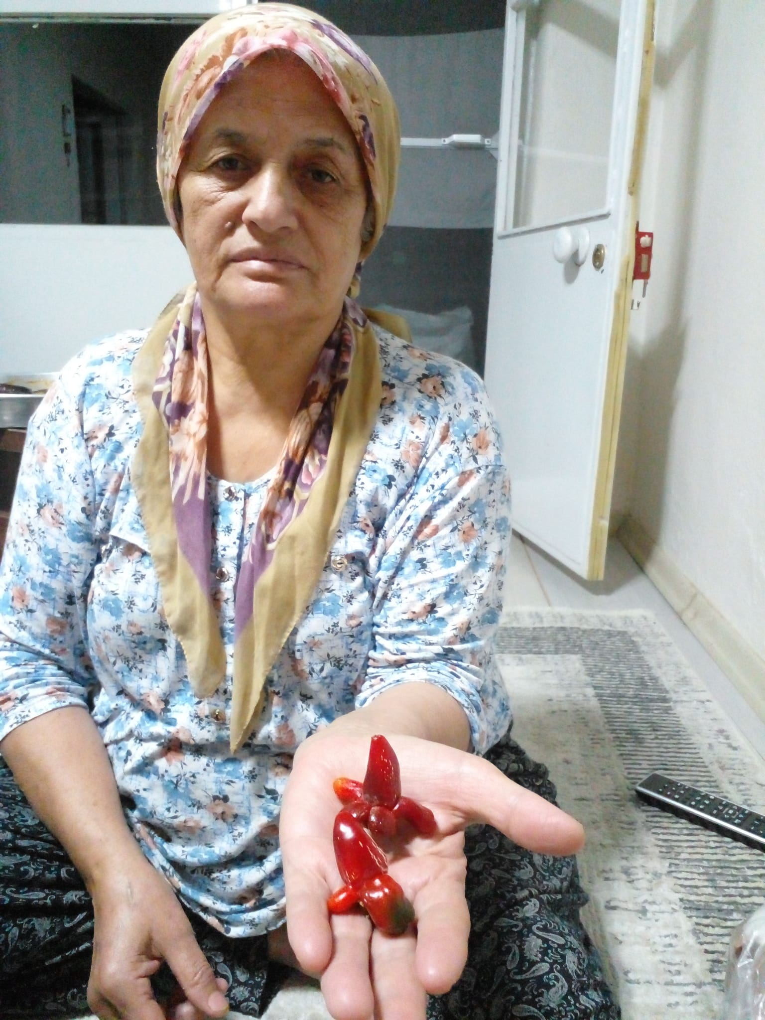 Salihlide Bahceden Cikan Ilginc Biberler Sasirtti (4)