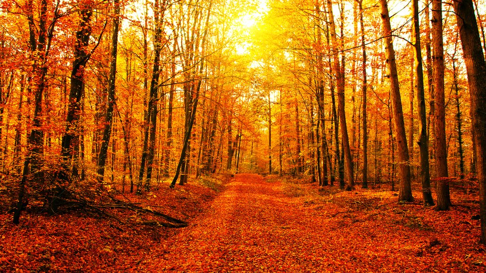 Sonbahar Baslangici Ekinoks