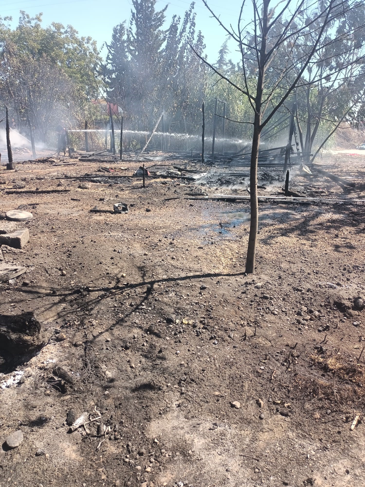 Tarım Işçilerini Korkutan Yangın 4 Çadır Kullanılamaz Hale Geldi (5)