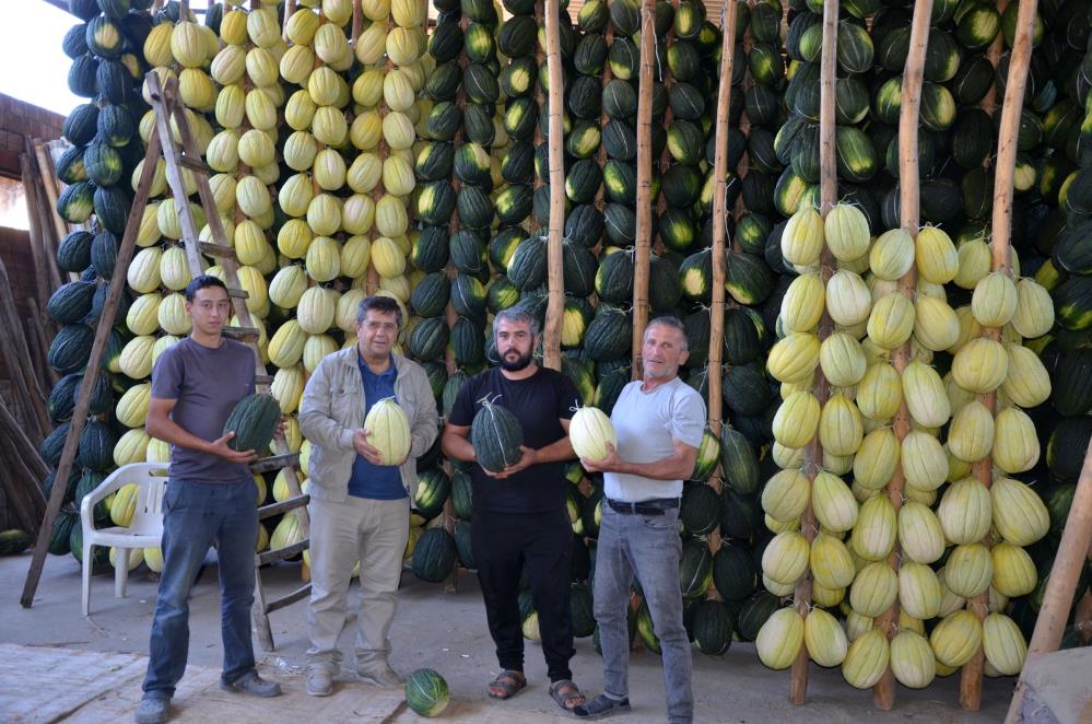 Tescilli Kirkagac Kavunu Kis Sofralarina Hazirlaniyor (2)