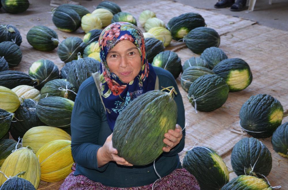 Tescilli Kirkagac Kavunu Kis Sofralarina Hazirlaniyor (4)