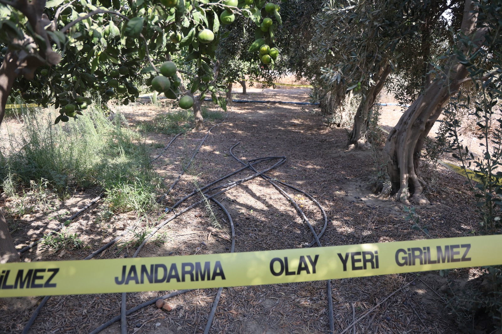 Whatsapp Görsel 2025 09 25 Saat 13.49.43 Ec8A36Ba