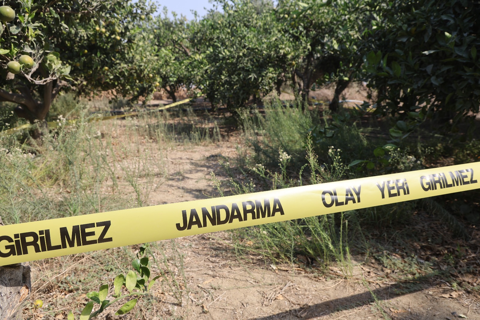 Whatsapp Görsel 2025 09 25 Saat 13.49.44 F643F702