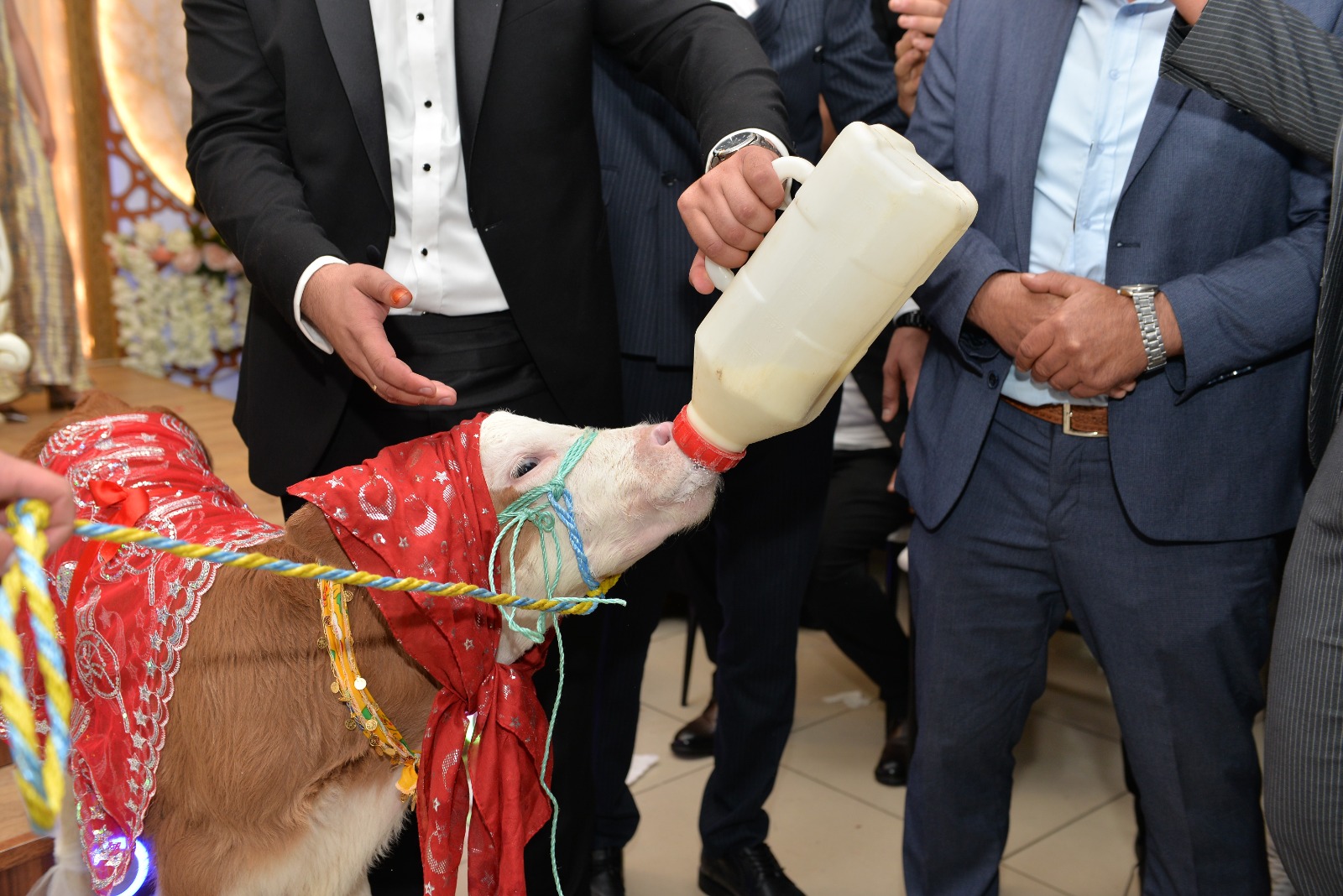 Whatsapp Image 2025 09 09 At 15.39.50 (3)